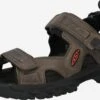 Keen Schoenen Sandalen Targhee III Heren Greige 2 Keen Schoenen Sandalen Targhee III Heren Greige -Chique Kleding Winkel 0e3702263873628c0370632238b2624b
