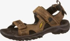 Keen Schoenen Sandalen Targhee III Heren Bruin 12 Keen Schoenen Sandalen Targhee III Heren Bruin -Chique Kleding Winkel 5c5390005c624be25e129b58f628a221